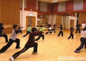 武艺文化中心提供中国武术训练班 体能训练班 花式跳绳班等服务