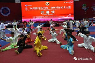 2017年第二届中国 徐州国际武术大赛暨 丝路汉风 国际武术文化节开幕式
