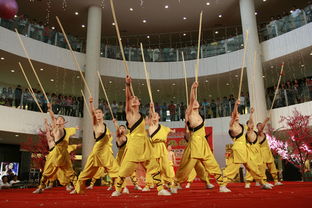 嵩山少林寺武术学校的文化课内容是什么