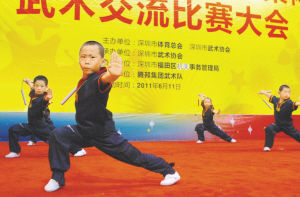 第十届幼儿武术交流赛举行