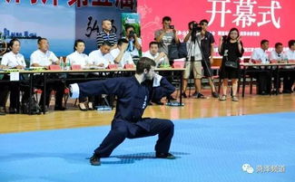 海峡两岸第五届中华传统武术文化交流大赛菏泽开幕